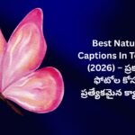 【450+】Best Nature Captions In Telugu (2026) – ప్రకృతి ఫోటోల కోసం ప్రత్యేకమైన క్యాప్షన్స్