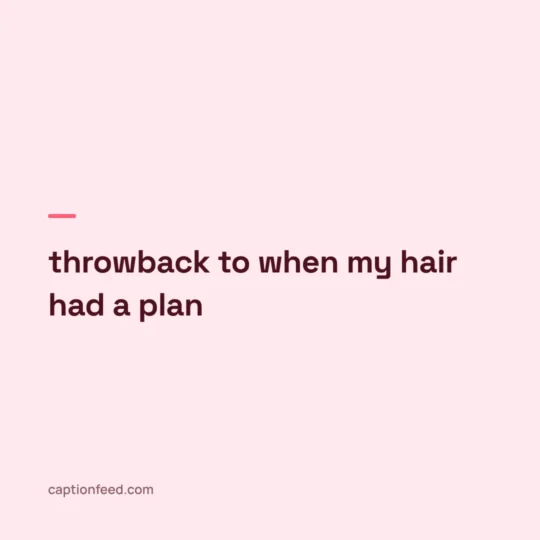 Funny Captions For Instagram card: throwback to when my hair had a plan