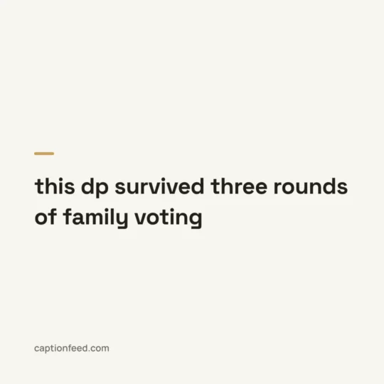 Funny Captions For Instagram card: this dp survived three rounds of family voting