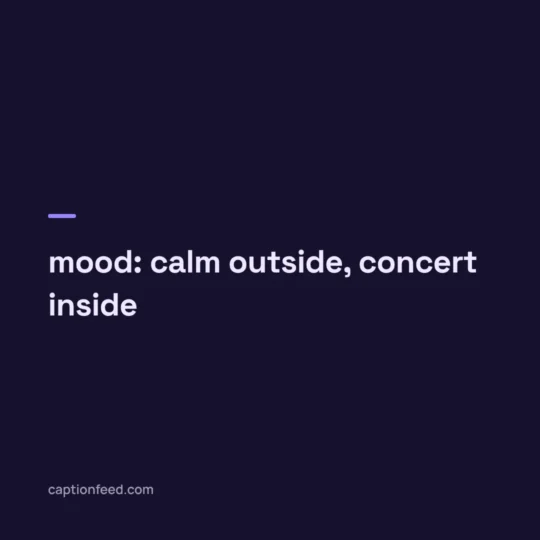 Instagram Captions With Hashtags card: mood: calm outside, concert inside