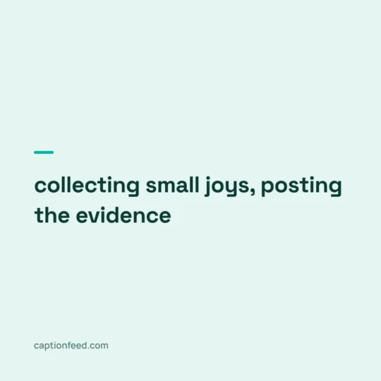 Captions For Instagram card: collecting small joys, posting the evidence