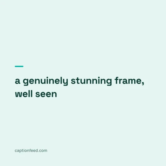 Comments For Instagram card: a genuinely stunning frame, well seen
