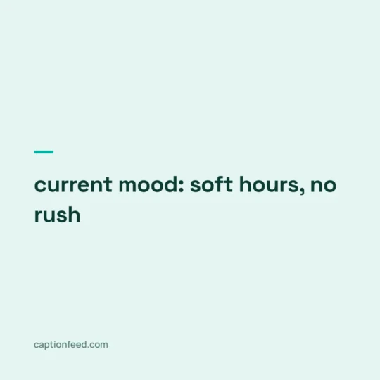 Life Captions For Instagram card: current mood: soft hours, no rush