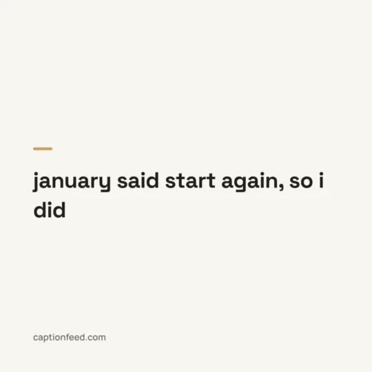 Instagram Captions For January card: january said start again, so i did