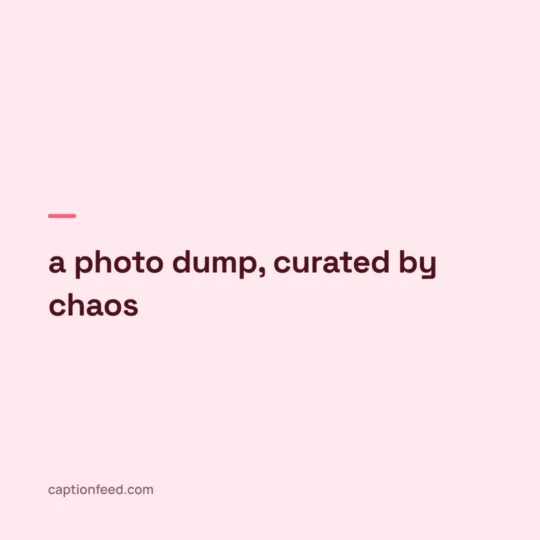 Caption For Pic card: a photo dump, curated by chaos