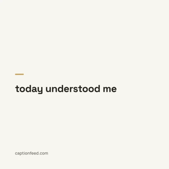 Short Captions For Instagram card: today understood me